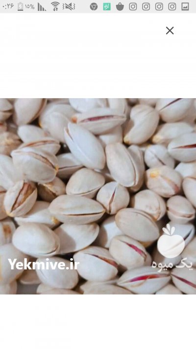 پسته فندقی اقتصادی فاخر خراسان در بیرجند در گروه خرید فروش عمده سایر محصولات باغبانی مرکبات در یکمیوه