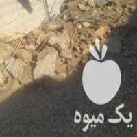 فروش کود گوسفندی در اصفهان در گروه خرید فروش کود و مواد شیمیایی - اوره پتاس مرغی کمپوست آهن در یکمیوه