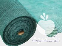 فروش سایبان گلخانه و اماکن در محلات در گروه خرید فروش عمده انواع گل - پروش قاشقی موسی ساکولنت بن سای در یکمیوه -عکس1