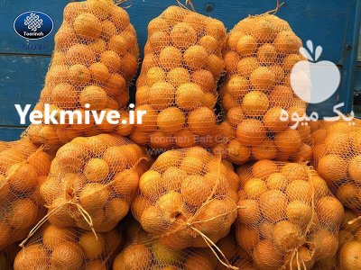 سایبان در تهران در گروه خرید فروش انواع پوشش ها و ورق ها - پلی استر پلی کربنات نایلون در یکمیوه