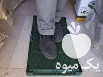 فروش سینی سبد باکس نشا سبز رنگ‌ در لنگرود در گروه خرید فروش نشا - انواع گوجه برنج کاهو پیاز کاری فرنگی در یکمیوه -عکس1