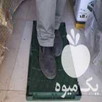 فروش سینی سبد باکس نشا سبز رنگ‌ در لنگرود در گروه خرید فروش نشا - انواع گوجه برنج کاهو پیاز کاری فرنگی در یکمیوه