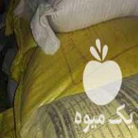 فروش جو ذرت سویا تفاله چغندر در مازندران در گروه خرید فروش عمده گندم و جو - بلغور شیرازی فروش عمده محصول کشاورزی در یکمیوه