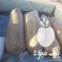 فروش کاه نیشکر  انواع تفاله  جو سیب چغندر گوجه خرما هویج دامی در مشهد در گروه خوراک دام و طیور - پرواری شیری علوفه یونجه در یکمیوه