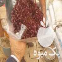 فروش کاهو فرانسوی هیدروپونیک و ارگانیک در تهران در گروه خرید فروش عمده کاهو - رسمی پیچ سالادی فرانسوی چینی قرمز در یکمیوه