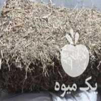 فروش پرس نخود فرنگی در بیجار در گروه خرید فروش عمده نخود - فرنگی خام سبز فروش عمده در یکمیوه