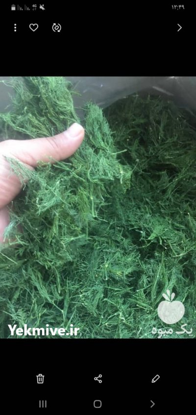 فروش انواع سبزیجات خشک صادراتی در قزوین در گروه انواع خشکبار - فروش مغز دانه فروش عمده در یکمیوه -عکس1