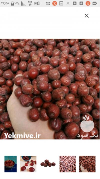 عناب جگری رنگ درشت و توپر بیرجند درجه یک در خراسان جنوبی در گروه میوه های خشک - پرتقال سیب حبه ورق صنعتی خانگی در یکمیوه