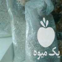 فروش بذر قارچ گندم استریل در تهران در گروه خرید فروش بذر - انواع محصول کشاورزی گوجه کتان میوه درخت در یکمیوه