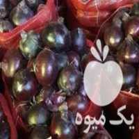 فروش تخم پیاز اناری در میاندوآب در گروه خرید فروش عمده پیاز - قرمز سفید زرد ترشی تازه انباری در یکمیوه