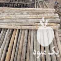 خرید همه نوع چوب سقفی تیرچوبی وچوب باغی تیجه در قوچان در گروه خرید فروش عمده چوب- زغال چوب گردو تبریزی خام در یکمیوه