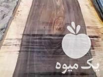 فروش اسلب گردو سیاه کردستان در رشت در گروه گردو - کاغذی سنگی سوزنی خوشه ای توسرکان در یکمیوه -عکس1