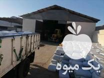 فروش ذرت علوفه بسته بندی پهلوان در بیرجند در گروه خوراک دام و طیور - پرواری شیری علوفه یونجه در یکمیوه -عکس1