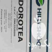 فروش بذر چغندر فرانسه دورتی در میاندوآب در گروه خرید فروش بذر - انواع محصول کشاورزی گوجه کتان میوه درخت در یکمیوه