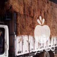 آگهی مشابه فروش پرس شالی باران خورده در تربت حیدریه در گروه زمین کشاورزی - فروشی اجاره ای فروش دیم زراعی هکتار در یکمیوه