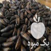 فروش کیلو هسته خرما تفت خورده در حسن آباد در گروه خرید و فروش خرما در یکمیوه