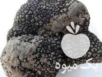 فروش تامین کننده قارچ دنبلان ترافل به تمام نقاط کشور در تهران در گروه خرید فروش عمده قارچ - دکمه ای خوراکی دارویی پرورشی کوهی در یکمیوه -عکس1