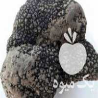 فروش تامین کننده قارچ دنبلان ترافل به تمام نقاط کشور در تهران در گروه خرید فروش عمده قارچ - دکمه ای خوراکی دارویی پرورشی کوهی در یکمیوه