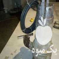 فروش کفکش و لجنکش ابارا ایتالیایی سه فاز در میاندوآب در گروه خرید فروش ابزار ها و تجهیزات کشاورزی - دستی برقی ماشینی بیل کلنگ در یکمیوه