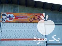 تولید و فروش انواع سبد و گلدان پلاستیکی و سینی نشا در سمنان در گروه خرید فروش نشا - انواع گوجه برنج کاهو پیاز کاری فرنگی در یکمیوه -عکس1