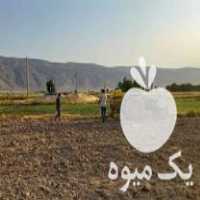 فروش تراکتور جاندیر تمام کاراش انجام شده بشرط در فیروزآباد در گروه خرید فروش ماشین آلات کشاورزی - تراکتور تیلر کمباین مدرن در یکمیوه