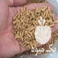 فروش سویا میان دانه در تهران در گروه خرید فروش عمده سویا - خوراکی تیم اسپانیول روغن در یکمیوه