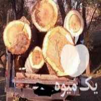 خرید و فروش انواع درختان و چوب کهنه در اردبیل در گروه خرید فروش عمده چوب- زغال چوب گردو تبریزی خام در یکمیوه