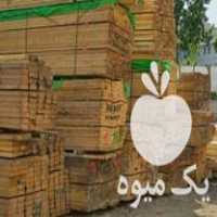 فروش چوب سربندی نراد و صنوبر ورق گالوانیزه حلب رنگی و بی رنگ در رشت در گروه خرید فروش عمده چوب- زغال چوب گردو تبریزی خام در یکمیوه