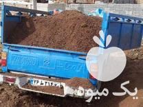فروش پخش کود حیوانی در پاکدشت در گروه خرید فروش کود و مواد شیمیایی - اوره پتاس مرغی کمپوست آهن در یکمیوه -عکس1