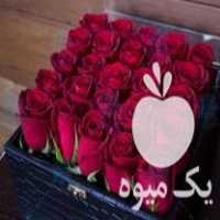 فروش باکس گل طبیعی در کرمانشاه در گروه خرید فروش عمده گیاهان زینتی - گرمسیری آپارتمانی باغچه آب در یکمیوه