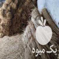 فروش دسته ی کاه شالی کمل دسته برای دسته بندی شالی و سبزی در بابل  در گروه خوراک دام و طیور - پرواری شیری علوفه یونجه در یکمیوه