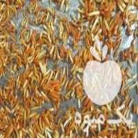 فروش خلال پوست پرتقال در ساری در گروه میوه های خشک - پرتقال سیب حبه ورق صنعتی خانگی در یکمیوه