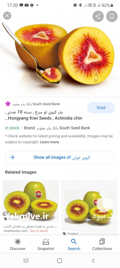 فروش کیوی خونی در هر بسته بندی در سلمان شهر در گروه خرید فروش عمده کیوی - صادراتی مازندران تنکابن تالش در یکمیوه