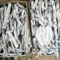 فروش پخش زغال پسته سیاه و سفید در زیباشهر در گروه خرید فروش عمده چوب- زغال چوب گردو تبریزی خام در یکمیوه