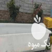 فروش وان ماهی درجه یک در مازندران در گروه ماهی سفید - جنوب شمال رودخانه پرورشی خرید فروش در یکمیوه