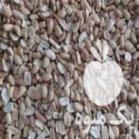 فروش بادام زمینی هندی در اصفهان در گروه بادام - درختی کوهی زمینی فروش عمده در یکمیوه