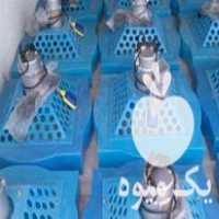 فروش هواده اسپلش پرورش ماهی در دورود در گروه تجهیزات ماهیگیری - خرید و فروش محصولات در یکمیوه