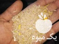 فروش پخش مستقیم خوراک دام و طیور در تهران در گروه خوراک دام و طیور - پرواری شیری علوفه یونجه در یکمیوه -عکس1