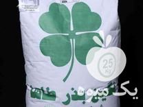 فروش انواع بذر یونجه شبدر اسپرس ذرت بذر پیاز در ایلخچی در گروه خرید فروش بذر - انواع محصول کشاورزی گوجه کتان میوه درخت در یکمیوه -عکس1