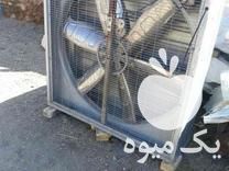 فروش انواع هواکش صنعتی مرغداری دامداری و   در ملایر در گروه اجاره فروش دامداری - صنعتی سنتی مدرن نوین ایران دامپروری در یکمیوه -عکس1