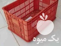 فروش سبد دانه ریز انگور در گروه خرید و فروش انواع سبد در یکمیوه -عکس1