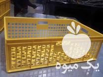 فروش سبد ماهی سبد نان در تهران در گروه خرید و فروش انواع سبد در یکمیوه -عکس1