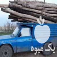 خریدار چوب در زنجان در گروه خرید فروش عمده چوب- زغال چوب گردو تبریزی خام در یکمیوه