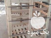 فروش باکس پالت هندوانه ای در شیراز در گروه خرید فروش عمده هندوانه - صادراتی گرد بیضی زرد قرمز در یکمیوه -عکس1