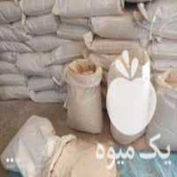 فروش پودر سیر دامی و خوراکی و خلال در دامشهر در قم در گروه خوراک شیلات و آبزیان - ماهی گیلان خوزستان چابهار بوشهر در یکمیوه