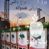 فروش باکس پالت هندوانه صادراتی در قلعه گنج در گروه خرید فروش عمده هندوانه - صادراتی گرد بیضی زرد قرمز در یکمیوه