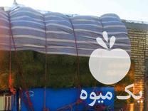 فروش یونجه پرس ارزان در شهربابک در گروه خوراک دام و طیور - پرواری شیری علوفه یونجه در یکمیوه -عکس1