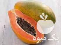 فروش نهال پاپایا ردلیدی پاکوتاه خربزه درختی در ساری در گروه خرید فروش نهال - انواع گردو پسته بادام سلطانی انگور در یکمیوه -عکس1