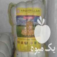 فروش سیب زمینی تور در بهار  در گروه خرید فروش عمده سیب زمینی - زودرس دیررس آگریا اسپریت اردبیل همدان در یکمیوه