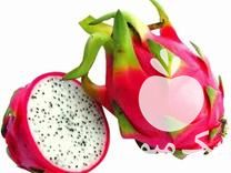 فروش بذر و نهال میوه و صیفی جات در قزوین در گروه خرید فروش نهال - انواع گردو پسته بادام سلطانی انگور در یکمیوه -عکس1